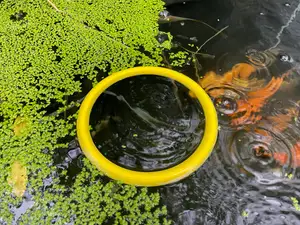 Floating Fish Feeder with dual bladders