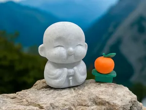 Cute Little Monk
