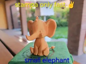 elephant mini elefante seduto