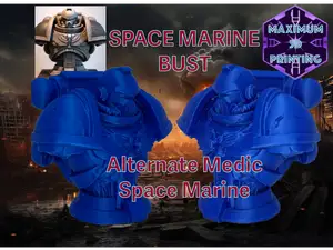 Alternate Space Warrior Marine Medic Bust, 40K.