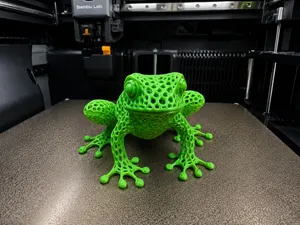 Voronoi Frosch