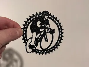 Cyclist and his sprocket