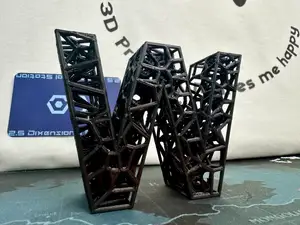 Voronoi Letter W