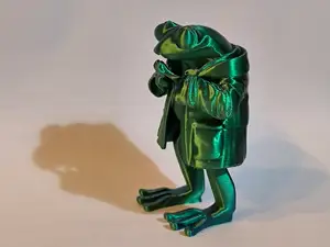 Frog in a Raincoat