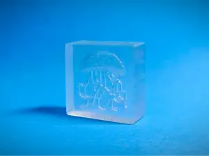 透明水晶 - 水母