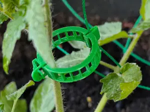 Tomatenclip