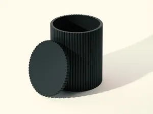 Cotton Swab Storage Container
