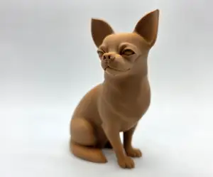 Sitting Short Haired Chihuahua