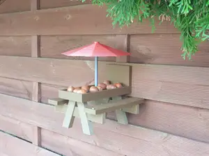 Picnicplace for squirrels, bird feeder