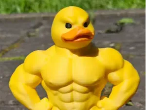 Ente mit Muskeln