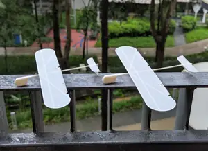 Toy Glider Plane