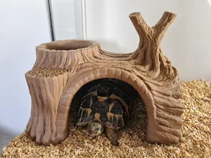 Terrarium Log Hide