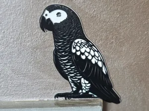 arte murale pappagallo cenerino