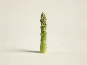 芦笋-仿真蔬菜系列幼儿认知百科-儿童涂色过家家玩具