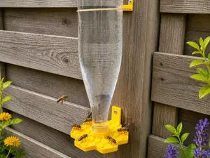 Bee watering station