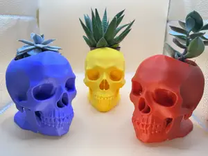 Realistic Skull Desk Planter (Small Plants)