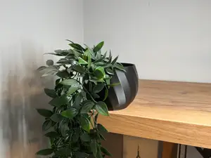 Modern Hanging Edge Planter