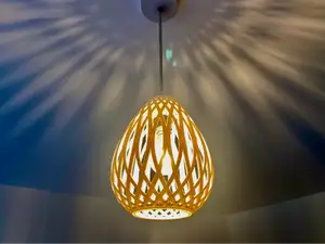 Stylish Ceiling Lamp Shade - Decorative Shadows!