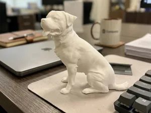 Rottweiler model one piece