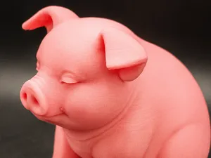 Schwein - Animal Kollektion