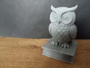 Wise Owl