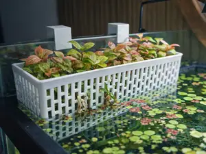 Aquarium plant basket