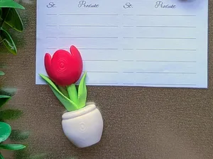 Tulip magnet