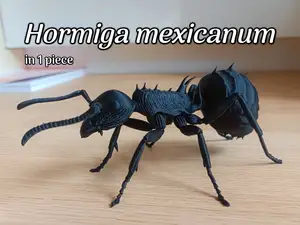 Hormiga mexicanum Imaginary ant model
