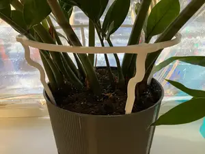Plant Support Ring for Potted Plants – Stem Holder