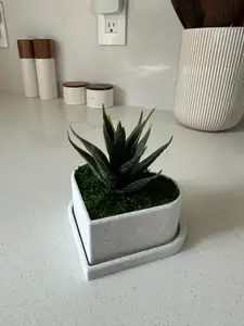 Heart Plant Pot