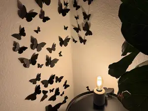 Butterfly Wall Decoration