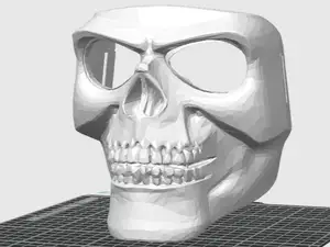 Skull mask 