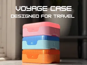 voyage case