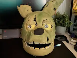 Spring Bonnie Head