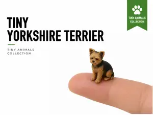 Tiny Yorkshire Terrier - Mini Animals Series