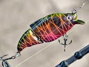 Jointed Crankbait Fishing Lure