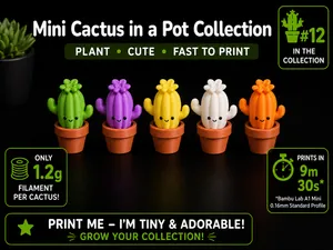 Tiny Cactus in a Pot – Prickle Free Plant Cute Fun