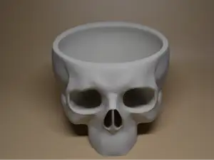 Skull bowl