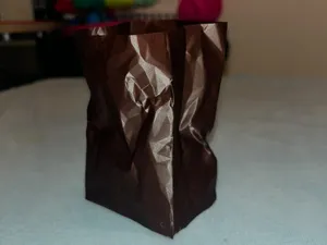 Realistic Crinkled Paper Bag