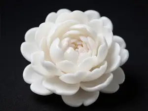 牡丹花1