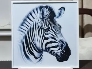 Zebra - HueForge 3 Color