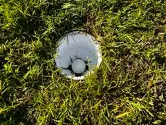 Golf Cup (regulation size)
