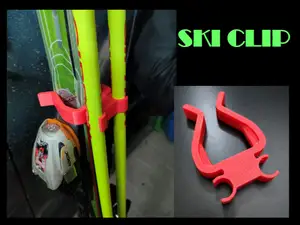 Ski clips