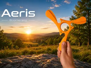 Aeris Boomerang
