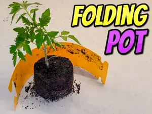 Folding pot - seedling starter