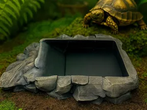 Wasserbecken Schildkröten / Krebse