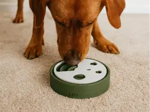Dog Puzzle Toy