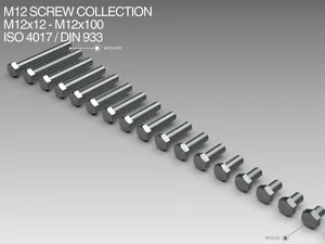 M12 Screw Collection M12x12-100 ISO 4017 / DIN 933