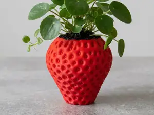 Strawberry Planter