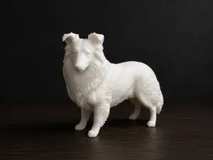 Sheltie - Dog - Animal